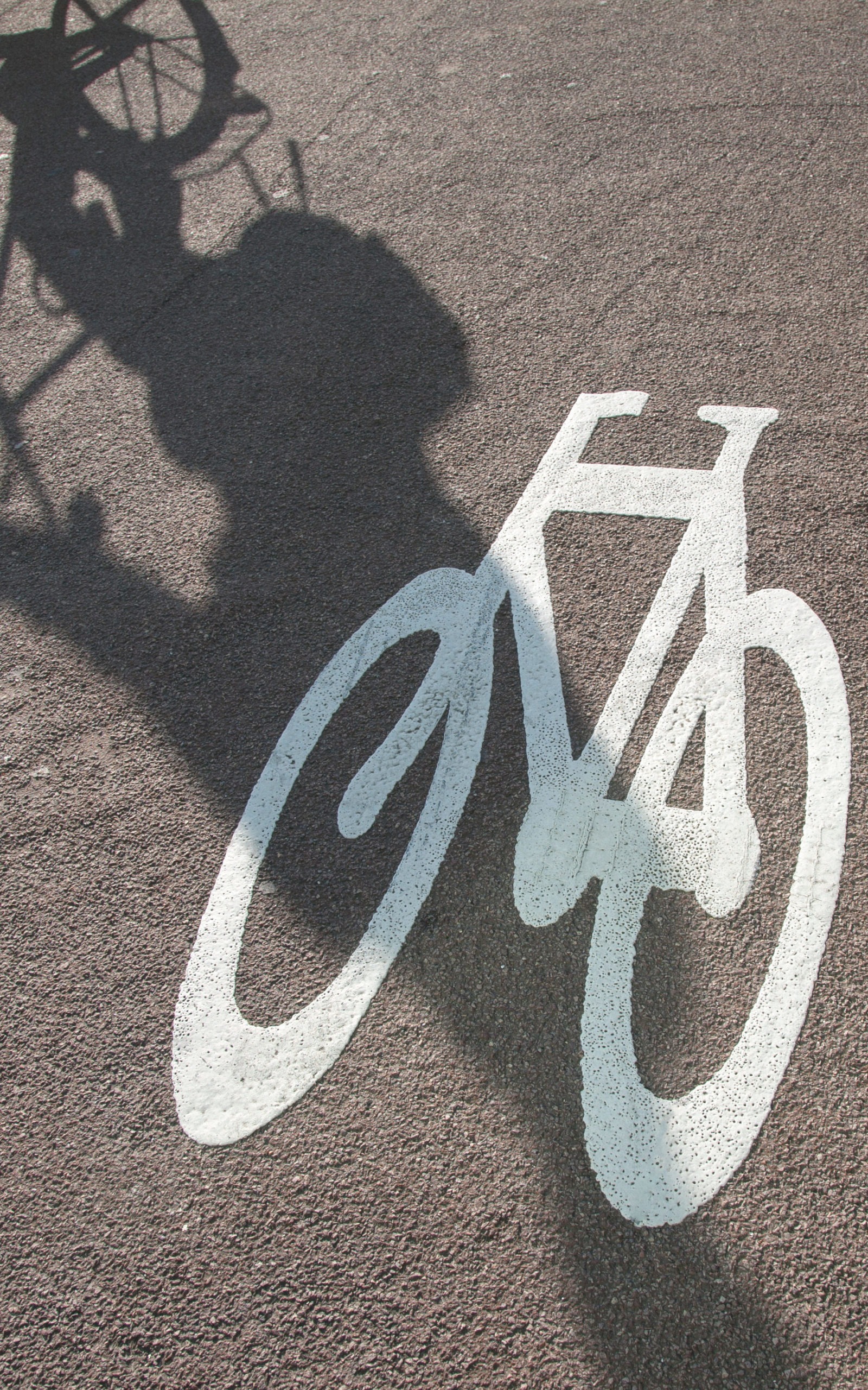 Bike Lane Symbol and Cyclist in Amsterdam; Holland; Netherlands